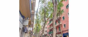 ÁTICO CON TERRAZA EN EL CASCO ANTIGUO