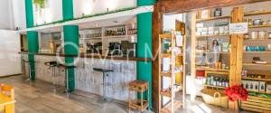 GRAN LOCAL EN ALQUILER CON TRASPASO EN SANTA CATALINA