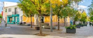 GRAN LOCAL EN ALQUILER CON TRASPASO EN SANTA CATALINA