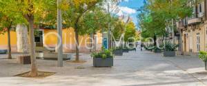 GRAN LOCAL EN ALQUILER CON TRASPASO EN SANTA CATALINA