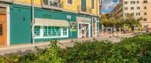 GRAN LOCAL EN ALQUILER CON TRASPASO EN SANTA CATALINA