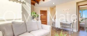 PENTHOUSE FLAT WITH TERRACE AND OWN PRIVATE POOL IN ESTABLIMENTS