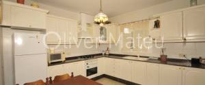 CHALET PAREADO EN CAN CARBONELL