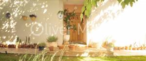 CHALET PAREADO EN CAN CARBONELL