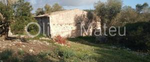 HOUSE WITH PROJECT AND LICENCE IN SANT JOAN
