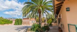 TWO HOUSES ON LARGE PLOT WITH OLIVE GROVE