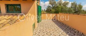 TWO HOUSES ON LARGE PLOT WITH OLIVE GROVE