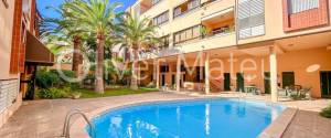 PISO MÁS ESTUDIO CON TERRAZA, PISCINA Y PARKING EN EL TERRENO