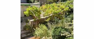 INMUEBLE SINGULAR EN SÓLLER
