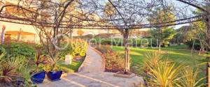 PLANTA BAJA CON TERRAZA, PISCINAS COMUNITARIAS, GIMNASIO Y PARKING