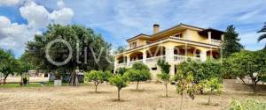 VILLA ON 7,400M² PLOT IN SA CABANETA