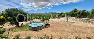 VILLA ON 7,400M² PLOT IN SA CABANETA