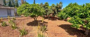 LANDHAUS MIT POOL UND GARTEN
