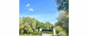 CASA CON CUADRAS DE CABALLOS EN PARCELA DE 15.000m² EN CA'N PICAFORT
