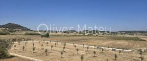 VILLA WITH PROJECT AND LICENSE IN SINEU