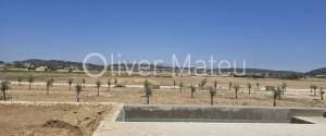 VILLA WITH PROJECT AND LICENSE IN SINEU