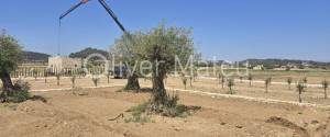 VILLA WITH PROJECT AND LICENSE IN SINEU
