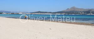 ESTUDIO CON TERRAZA EN PRIMERA LINEA DE MAR  PUERTO DE ALCUDIA