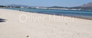 ESTUDIO CON TERRAZA EN PRIMERA LINEA DE MAR  PUERTO DE ALCUDIA