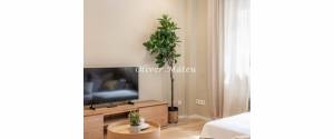 CENTRAL GROUND FLOOR FLAT WITH TERRACE IN SEMI-NEW BUILDING