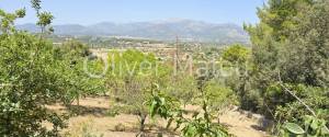 VILLA WITH POOL, TENNIS COURT, AND GARAGE IN INCA / SANTA MAGDALENA