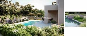 GREAT INVESTMENT OPPORTUNITY IN SON GUAL