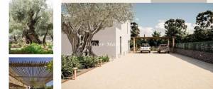 GREAT INVESTMENT OPPORTUNITY IN SON GUAL