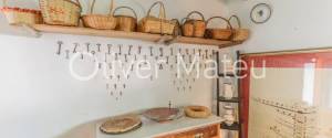 COUNTRY ESTATE IN LLORET DE VISTALEGRE