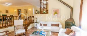 20.000 M ² FINCA WITH VILLA, GARAGE, POOL AND TWO BUSINESS OPERATIONS: HOLIDAY RENTAL AND AVOCADO FARM