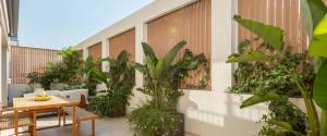 GROßZÜGIGE UND ELEGANTE ERDGESCHOSS-WOHNUNG MIT PRIVATER TERRASSE IN SON ARMADAMS