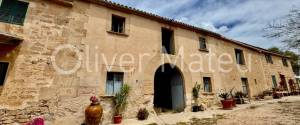 VENTA DE FINCA RUSTICA CON 124 HECTÁREAS EN MAIORIS