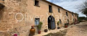 VENTA DE FINCA RUSTICA CON 124 HECTÁREAS EN MAIORIS