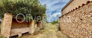 VENTA DE FINCA RUSTICA CON 124 HECTÁREAS EN MAIORIS
