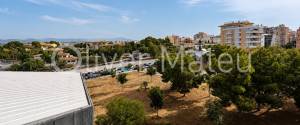DESPACHO EN ALQUILER EN PALMA EN PLANTA ATICO