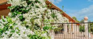 Casa en venta en Son Macià