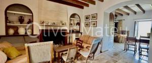 COUNTRY ESTATE WITH 124 HA IN MAIORIS
