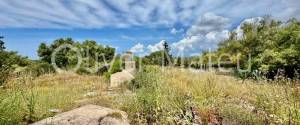 COUNTRY ESTATE WITH 124 HA IN MAIORIS