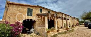 COUNTRY ESTATE WITH 124 HA IN MAIORIS