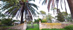 POSSESSIO" OF THE XIX CENTURY FOR SALE WITH MANY POSSIBILITIES