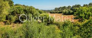 COUNTRY ESTATE IN LLORET DE VISTALEGRE