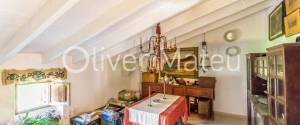 COUNTRY ESTATE IN LLORET DE VISTALEGRE