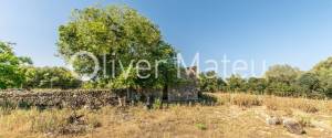 COUNTRY ESTATE IN LLORET DE VISTALEGRE