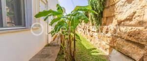 GROUND FLOOR FLAT NEXT TO THE BEACH, WITH COMMUNAL POOL AND PRIVATE GARDEN