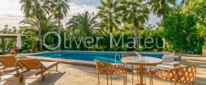 20.000 M ² FINCA WITH VILLA, GARAGE, POOL AND TWO BUSINESS OPERATIONS: HOLIDAY RENTAL AND AVOCADO FARM