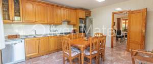 20.000 M ² FINCA WITH VILLA, GARAGE, POOL AND TWO BUSINESS OPERATIONS: HOLIDAY RENTAL AND AVOCADO FARM