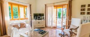 20.000 M ² FINCA WITH VILLA, GARAGE, POOL AND TWO BUSINESS OPERATIONS: HOLIDAY RENTAL AND AVOCADO FARM