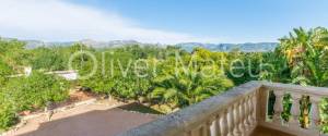 20.000 M ² FINCA WITH VILLA, GARAGE, POOL AND TWO BUSINESS OPERATIONS: HOLIDAY RENTAL AND AVOCADO FARM