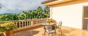 20.000 M ² FINCA WITH VILLA, GARAGE, POOL AND TWO BUSINESS OPERATIONS: HOLIDAY RENTAL AND AVOCADO FARM