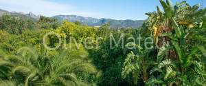 20.000 M ² FINCA WITH VILLA, GARAGE, POOL AND TWO BUSINESS OPERATIONS: HOLIDAY RENTAL AND AVOCADO FARM