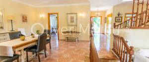 20.000 M ² FINCA WITH VILLA, GARAGE, POOL AND TWO BUSINESS OPERATIONS: HOLIDAY RENTAL AND AVOCADO FARM